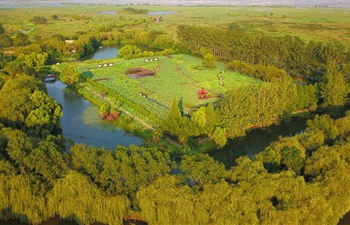 Early autumn scenery of Hongze Lake wetland in east China