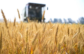 Farm work in summer across China