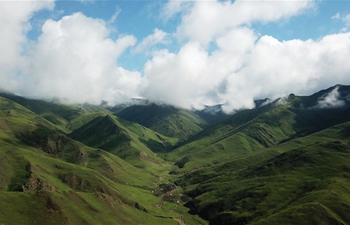 View of Sangke Grassland in NW China's Gansu