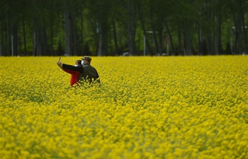 In pics: cole flower fields in Beijing