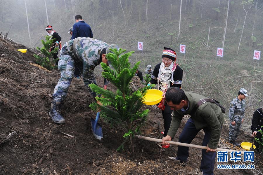 （圖文互動(dòng)）（6）和平年代，離死神最近的人——南部戰(zhàn)區(qū)陸軍云南掃雷大隊(duì)邊境掃雷排爆記事