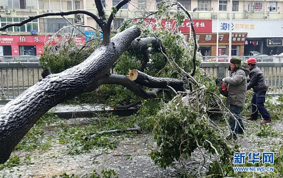 （新華全媒頭條）（7）雨雪冰凍中，他們奮力前行——基層黨員干群抗擊冰雪災(zāi)害紀(jì)實(shí)