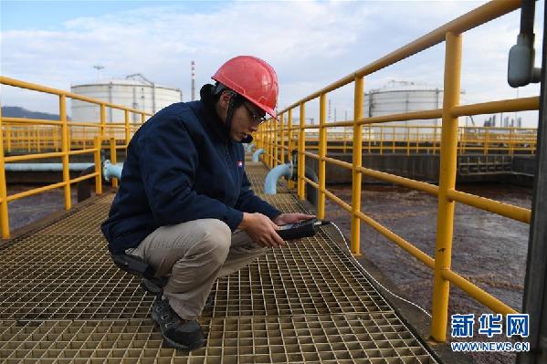 （在習(xí)近平新時代中國特色社會主義思想指引下——新時代新氣象新作為·圖文互動）（5）大工業(yè)與白海豚“共存共榮”——廣西欽州港深化改革開放構(gòu)建綠色發(fā)展高地