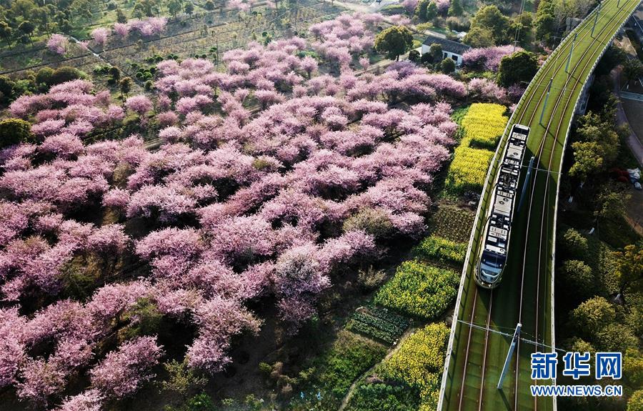 （壯闊東方潮 奮進(jìn)新時(shí)代——慶祝改革開放40年）（5）美麗中華大地書寫綠色傳奇