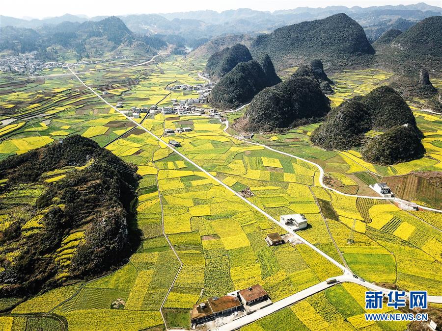 （新華全媒頭條·圖文互動）（10）從脆弱生態(tài)到滿眼皆“綠”——國家生態(tài)文明試驗(yàn)區(qū)貴州的“綠色之路”