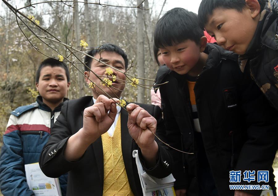 （時(shí)代先鋒·圖文互動(dòng)）（8）伏牛山里好老師張玉滾：挑起孩子們走出大山的希望