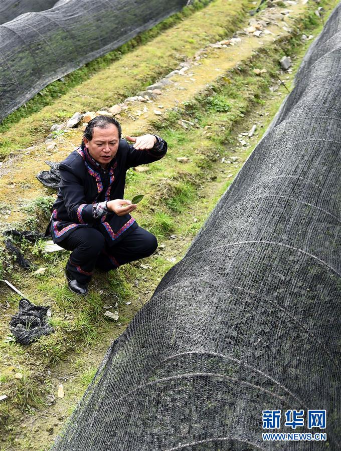 （兩會(huì)·基層代表履職故事）（7）全國(guó)人大代表龍獻(xiàn)文：幸福都是奮斗出來的!