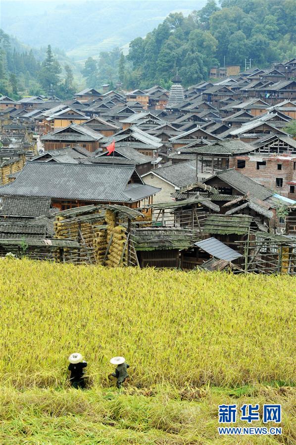 （新華全媒頭條·圖文互動(dòng)）（16）山鄉(xiāng)巨變——來(lái)自貴州扶貧一線的報(bào)告