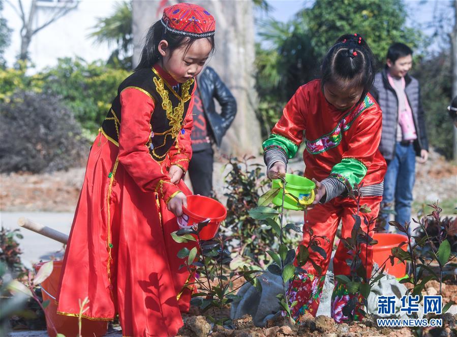 （社會(huì)）（1）多民族兒童共迎植樹節(jié)