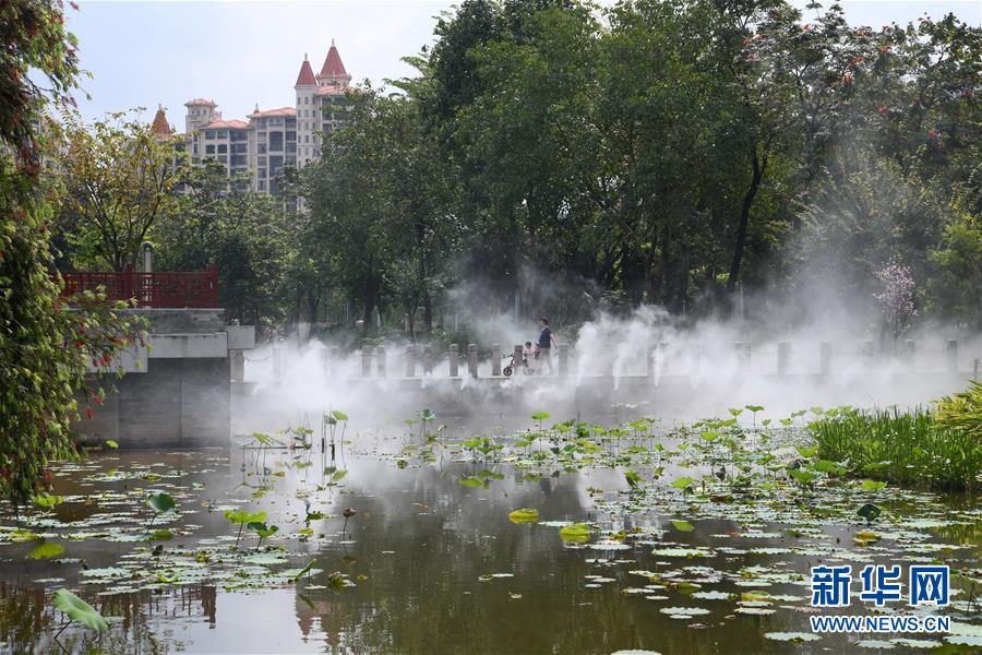 （在習(xí)近平新時代中國特色社會主義思想指引下——新時代新作為新篇章·圖文互動）（4）濕地就在城中央——珠三角重塑人與自然和諧共生圖景