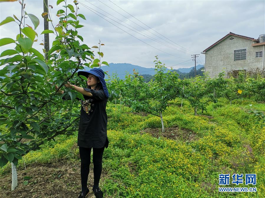 （壯麗70年·奮斗新時(shí)代·圖文互動(dòng)）（1）縣域經(jīng)濟(jì)強(qiáng)縣的“扶貧經(jīng)”——來(lái)自湖南瀏陽(yáng)市的脫貧攻堅(jiān)調(diào)查