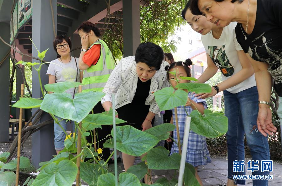 （新華全媒頭條·圖文互動(dòng)）（4）上海“新時(shí)尚”：用“繡花功”解垃圾分類(lèi)“大難題”