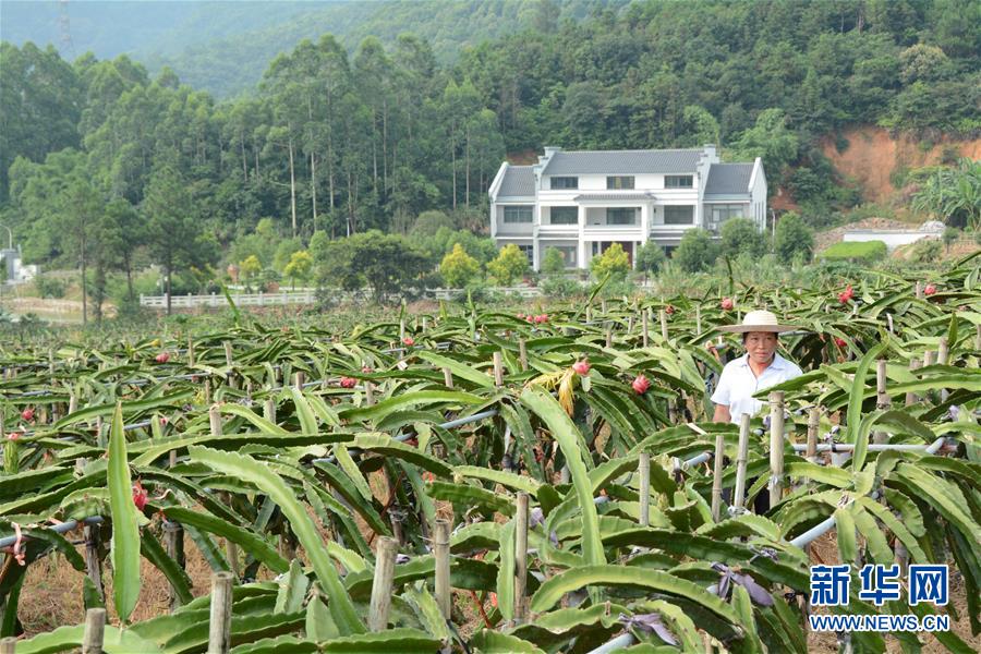 （在習(xí)近平新時(shí)代中國(guó)特色社會(huì)主義思想指引下——新時(shí)代新作為新篇章·總書記關(guān)心的百姓身邊事·圖文互動(dòng)）（6）大污染變身“大寶藏”：治理畜禽糞污，他們這樣干！