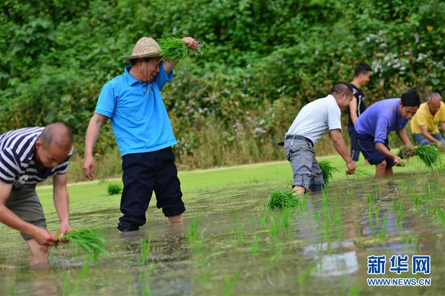 （新華全媒頭條·圖文互動(dòng)）（8）干部去哪兒了？——貴州干部大規(guī)模下沉脫貧攻堅(jiān)一線(xiàn)紀(jì)實(shí)