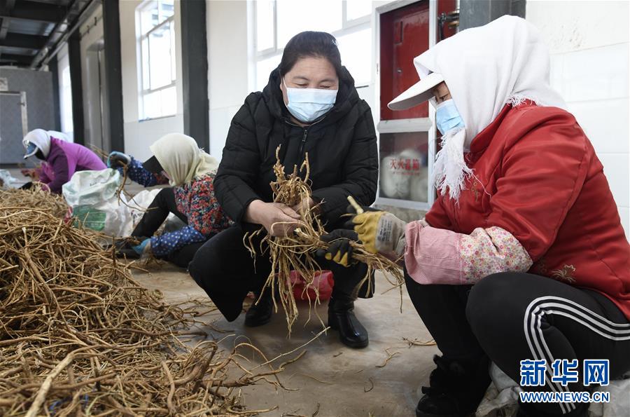 （新華全媒頭條·圖文互動）（2）特殊時期，他們這樣履職——全國人大代表這個春天在行動