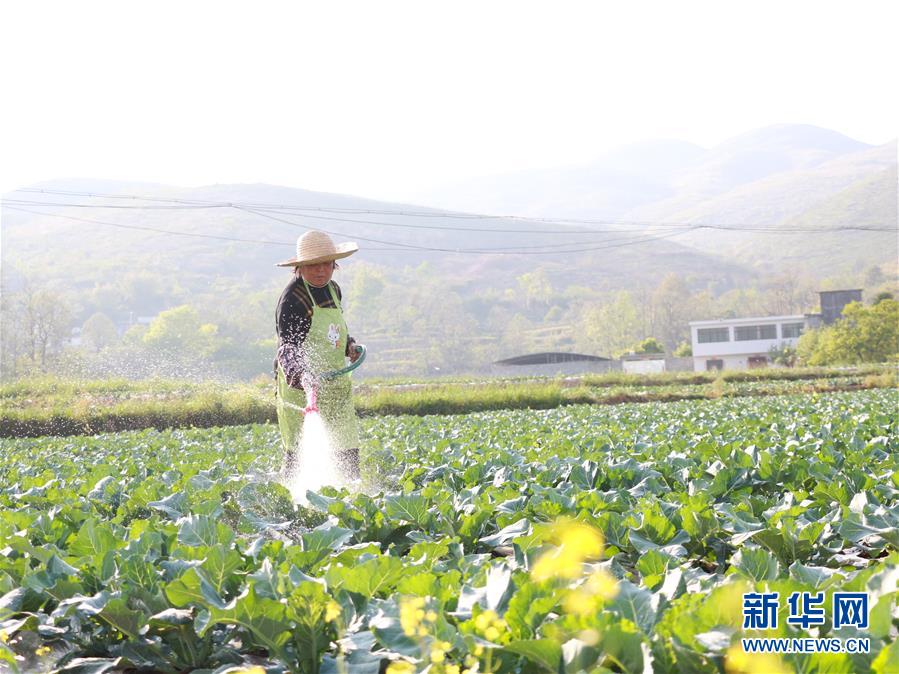 （決戰(zhàn)決勝脫貧攻堅(jiān)·圖文互動(dòng)）（3）逐項(xiàng)逐戶排查補(bǔ)齊脫貧攻堅(jiān)“短板”——貴州晴隆縣扶貧一線工作見(jiàn)聞 