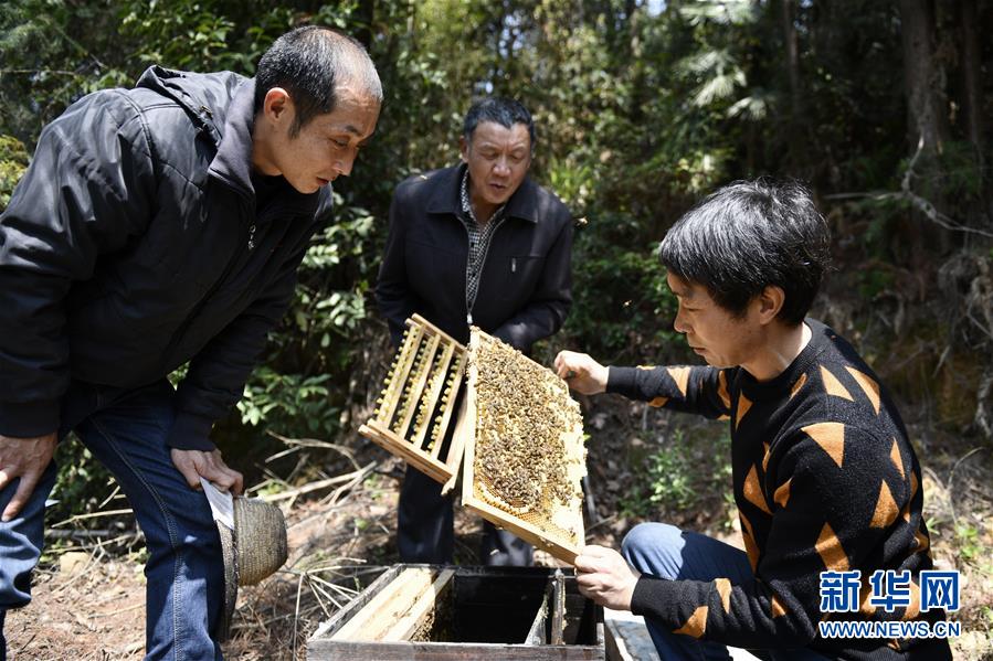 （決戰(zhàn)決勝脫貧攻堅(jiān)·圖文互動(dòng)）（5）一位農(nóng)民的產(chǎn)業(yè)扶貧成績單 