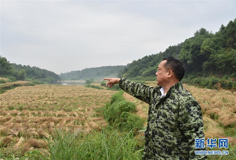 （代表委員履職·圖文互動(dòng)）（2）“我是農(nóng)民代表，始終關(guān)注農(nóng)村”——全國(guó)人大代表沈昌健的履職故事