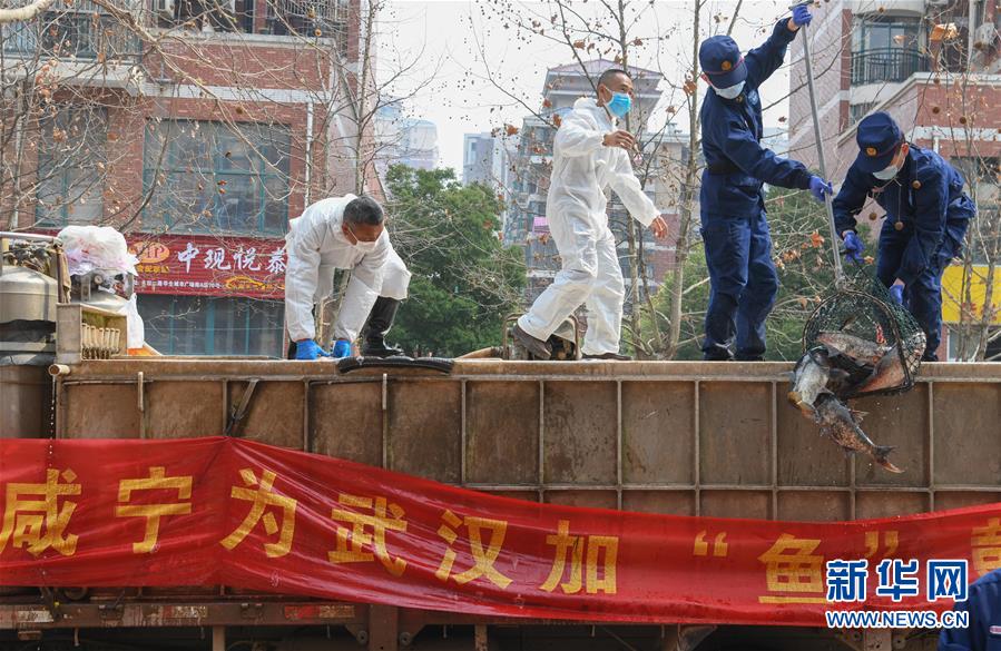 （新華全媒頭條·圖文互動）（12）從人民中汲取磅礴力量——習(xí)近平總書記同出席2020年全國兩會人大代表、政協(xié)委員共商國是紀實