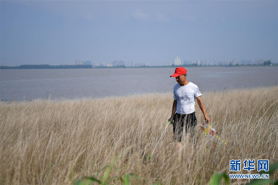 （新華全媒頭條·圖文互動）（7）大湖新歌——我國兩大淡水湖全面生態(tài)修復(fù)進(jìn)行時