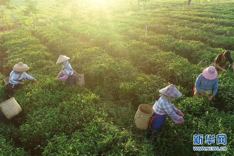 （新華全媒頭條·走向我們的小康生活·圖文互動(dòng)）（7）留住鄉(xiāng)愁留住美——千村競(jìng)秀綴瓊州