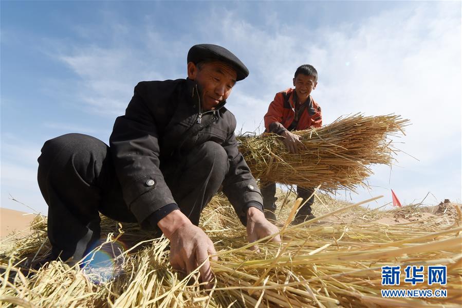 （在習近平新時代中國特色社會主義思想指引下——新時代新作為新篇章·習近平總書記關(guān)切事·圖文互動）（5）綠色映底蘊，山水見初心——生態(tài)優(yōu)先、綠色發(fā)展持續(xù)造福群眾美好生活