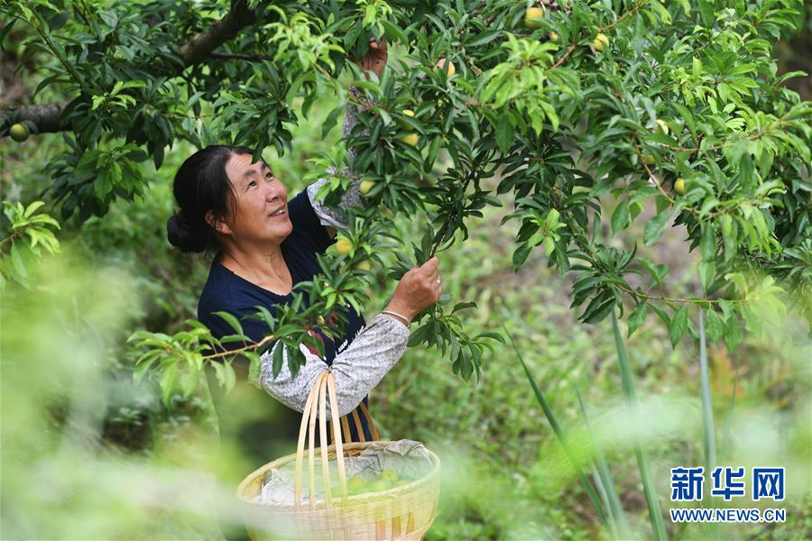 （新華全媒頭條·走向我們的小康生活·圖文互動(dòng)）（7）大城大鄉(xiāng)的“幸福協(xié)奏曲”——重慶推動(dòng)高質(zhì)量發(fā)展創(chuàng)造高品質(zhì)生活紀(jì)事