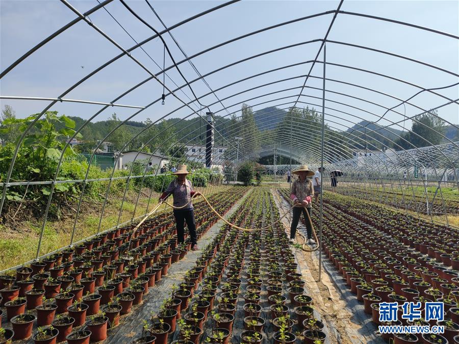 （決戰(zhàn)決勝脫貧攻堅·圖文互動）（3）安居樂業(yè)并重，搬遷脫貧同步——湖北88萬搬遷群眾脫貧觀察 