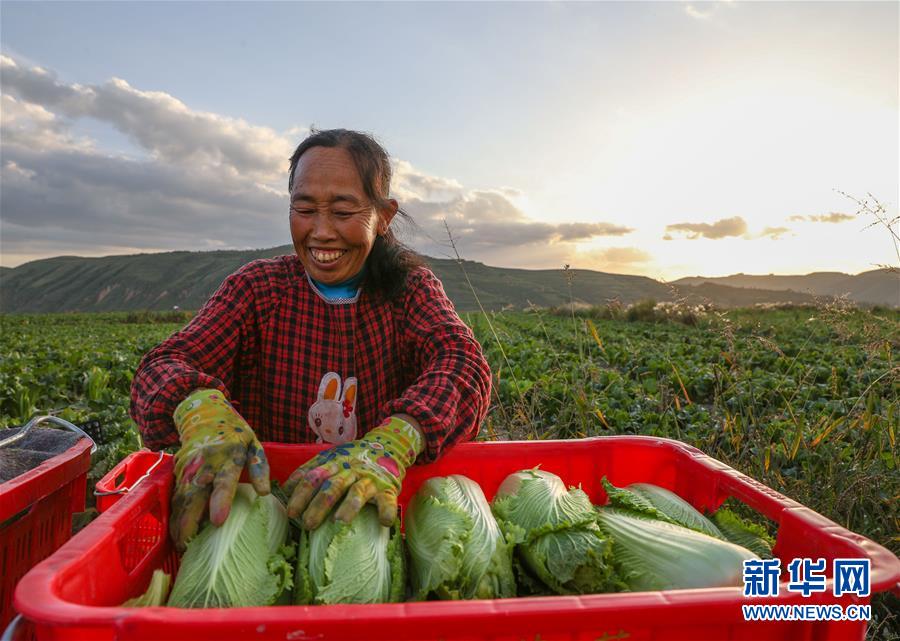 （新華全媒頭條·決戰(zhàn)決勝脫貧攻堅·督戰(zhàn)未摘帽貧困縣·圖文互動）（1）不獲全勝，決不收兵——全國52個掛牌督戰(zhàn)貧困縣脫貧攻堅紀實