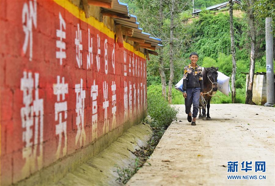 （新華全媒頭條·決戰(zhàn)決勝脫貧攻堅·督戰(zhàn)未摘帽貧困縣·圖文互動）（6）苦蕎花開大涼山——四川7個未摘帽縣脫貧攻堅一線觀察