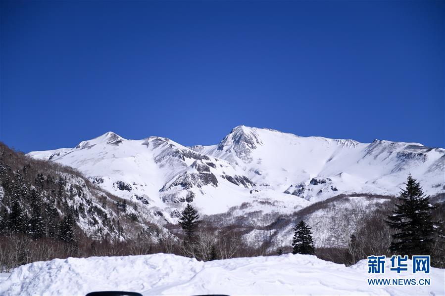 （圖文互動(dòng)）（6）長白山60年書寫“生態(tài)答卷”