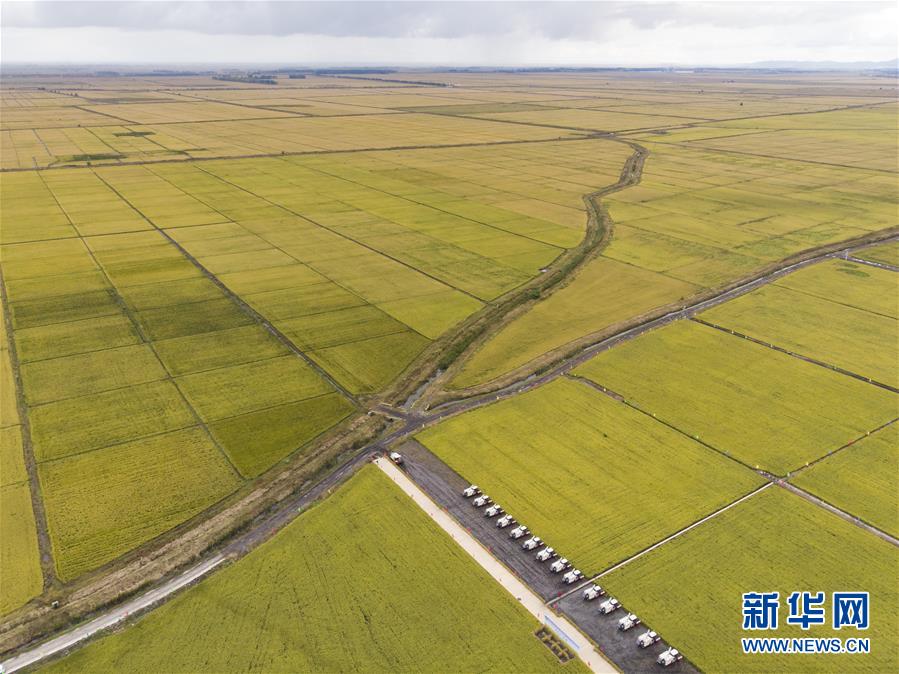 （新華全媒頭條·圖文互動(dòng)）（2）天道酬勤的大地贊歌——寫在第三個(gè)中國(guó)農(nóng)民豐收節(jié)之際