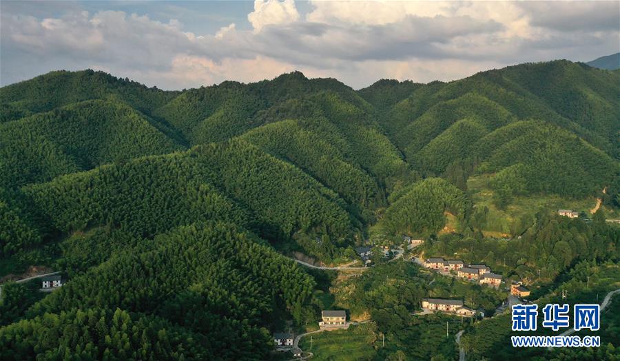 （新華全媒頭條·走向我們的小康生活·圖文互動(dòng)）（2）神山村“神奇”何在？——井岡山深處覓答案