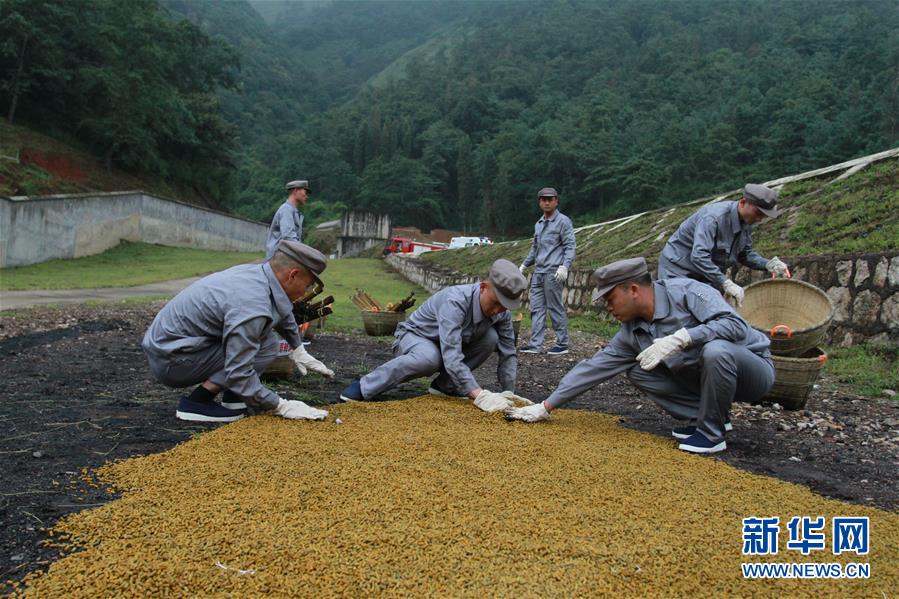 （在習(xí)近平強(qiáng)軍思想指引下·我們在戰(zhàn)位報告·圖文互動）（3）牢記統(tǒng)帥囑托  做刀尖上的舞者——記聯(lián)勤保障部隊(duì)某報廢武器彈藥銷毀站參謀長陳雪禮