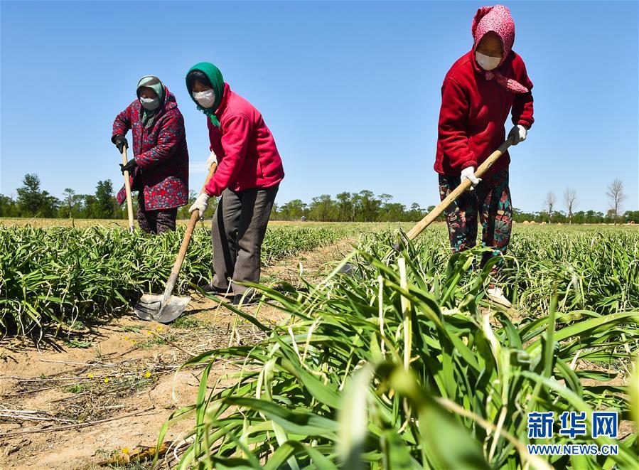 （新華全媒頭條·圖文互動(dòng)）（17）從人民中汲取磅礴力量——習(xí)近平總書記同出席2020年全國(guó)兩會(huì)人大代表、政協(xié)委員共商國(guó)是紀(jì)實(shí)