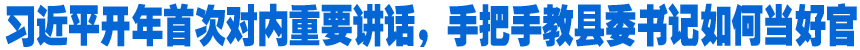 習(xí)近平開年首次對內(nèi)重要講話，手把手教縣委書記如何當(dāng)好官