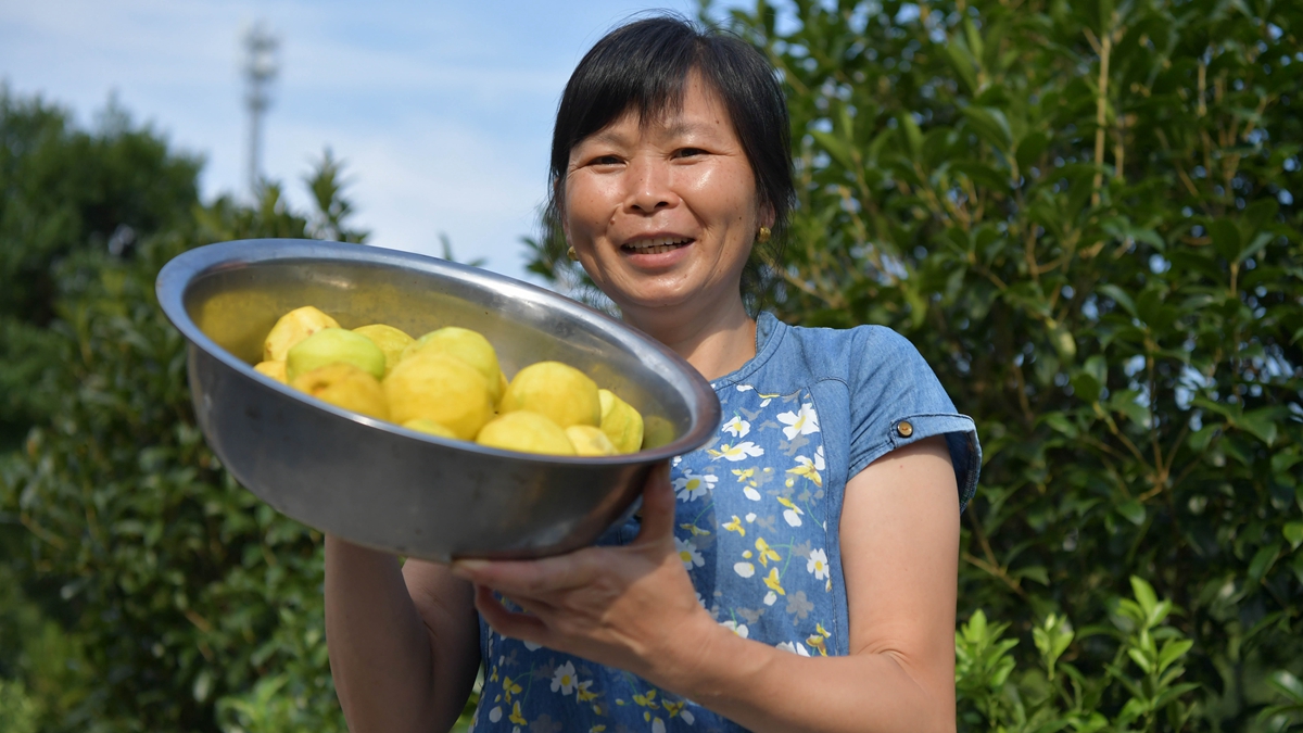 神山村里的張張笑臉