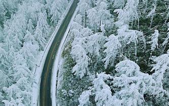 湖北現“林海雪原” 銀裝素裹風景如畫