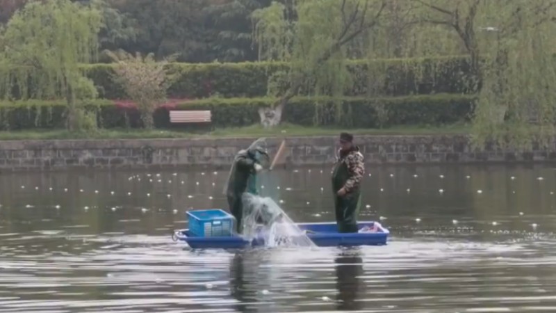 別人家的學校！安師大請師生吃一萬斤魚