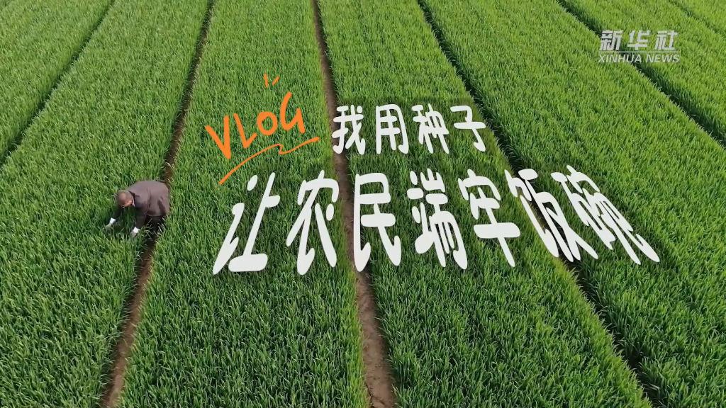 新華全媒+｜感受小康VLOG｜我用種子讓農民端牢飯碗