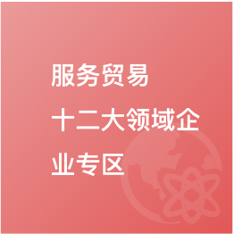 服務(wù)貿(mào)易十二大領(lǐng)域企業(yè)專(zhuān)區(qū)