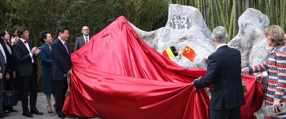 習(xí)近平和比利時(shí)國(guó)王菲利普共同出席大熊貓園開園儀式