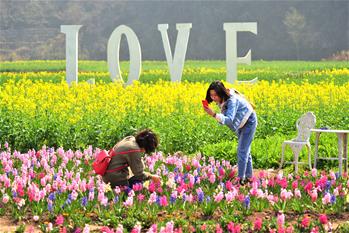 春暖花開(kāi)迎客來(lái)