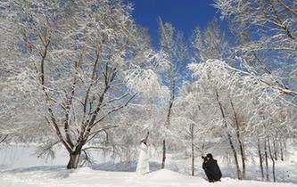 沈陽雪后天晴景色美麗吸引民眾觀賞拍照