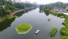 “生態(tài)浮島”凈水靚城