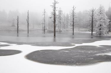 暢游冰雪瓦屋山